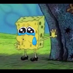 Meet your Posher, Tori